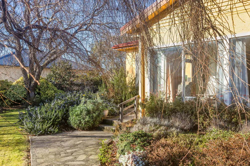 Photos of 113 Kippenberger Avenue