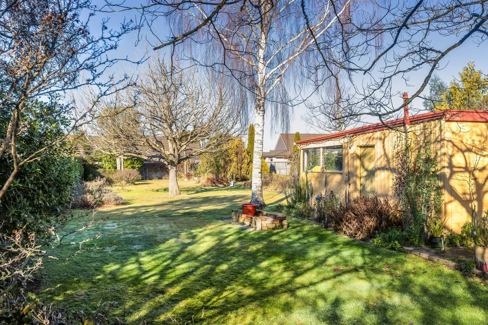 Photos of 113 Kippenberger Avenue