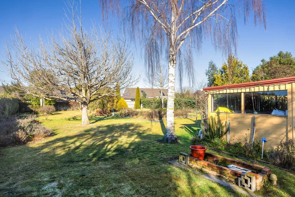 Photos of 113 Kippenberger Avenue