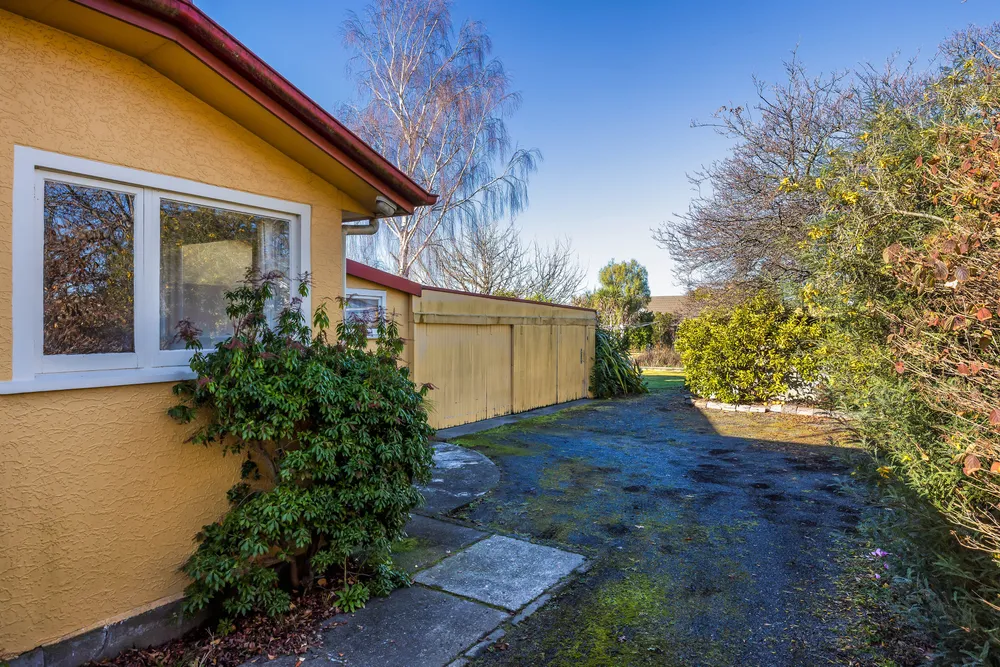 Photos of 113 Kippenberger Avenue