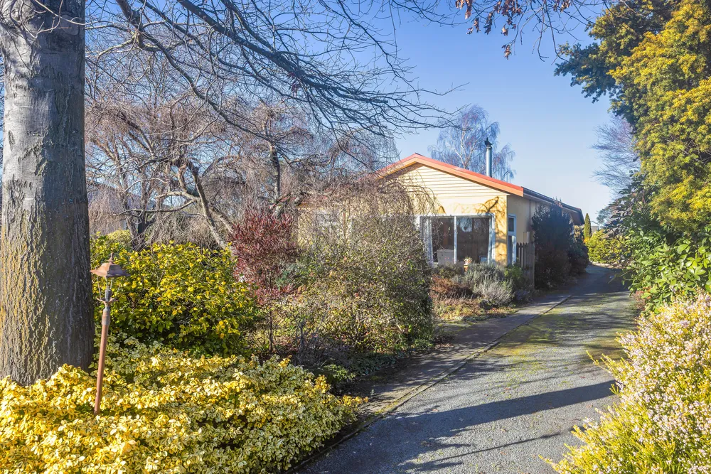 Photos of 113 Kippenberger Avenue