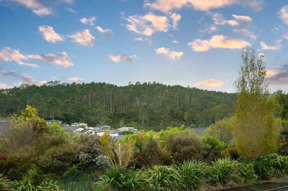 Photos of 6 Hatfield Place
