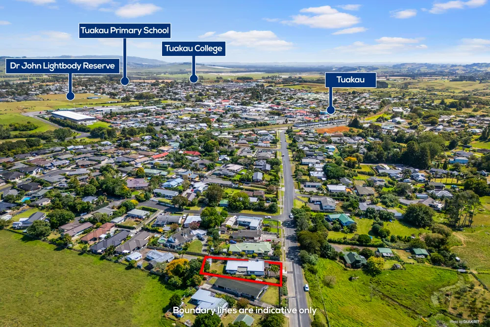 Photos of 42 Dominion Road