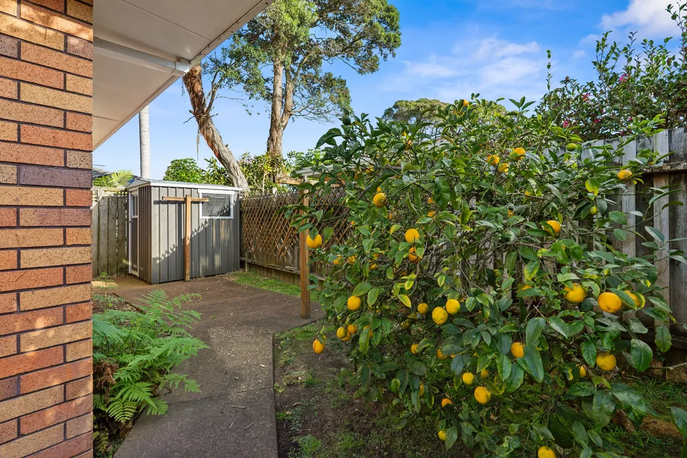 Photos of 8A Forest Glen
