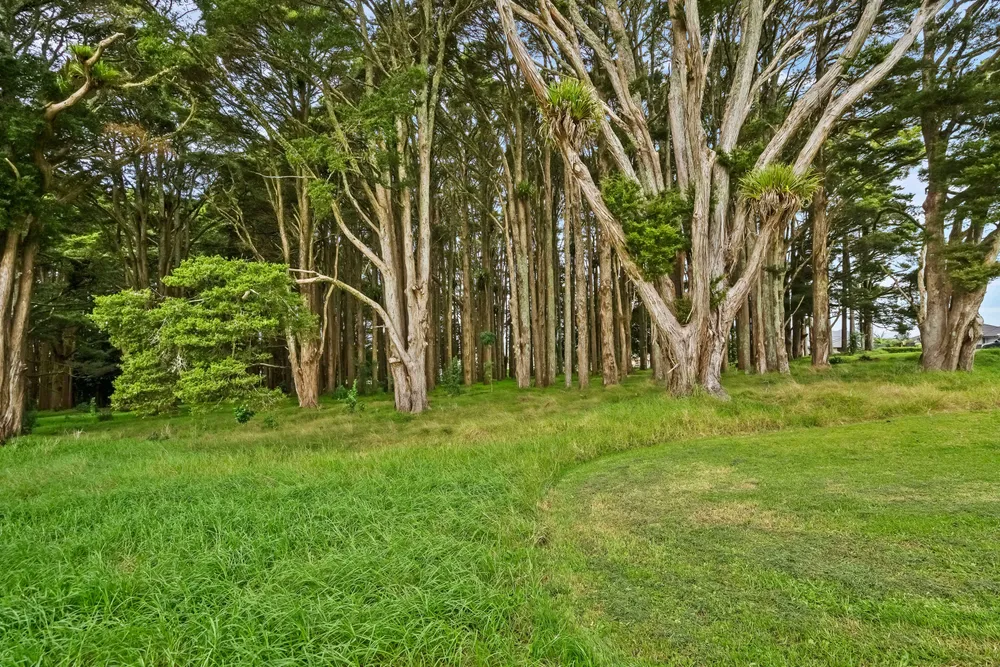Photos of 23 Maru Lane