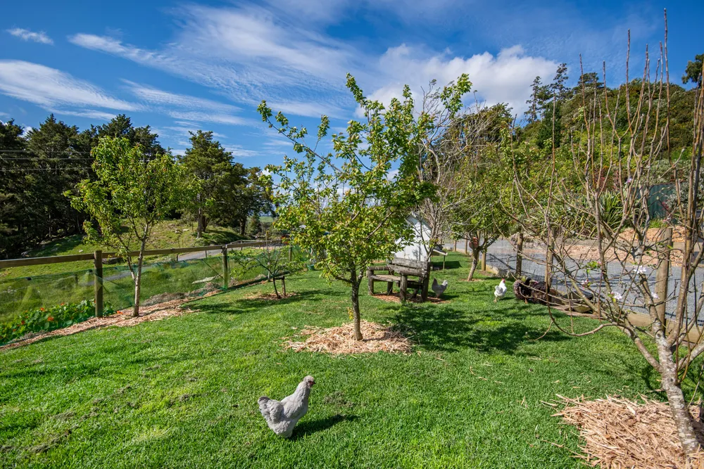 Photos of 127 Mountain View Road
