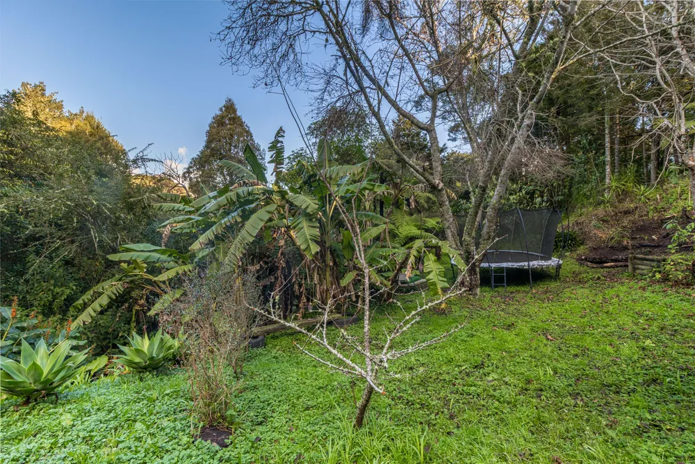 Photos of 2/99 Hadfield Street