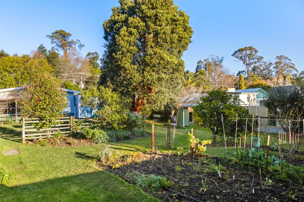 Photos of 40 Darwin Road