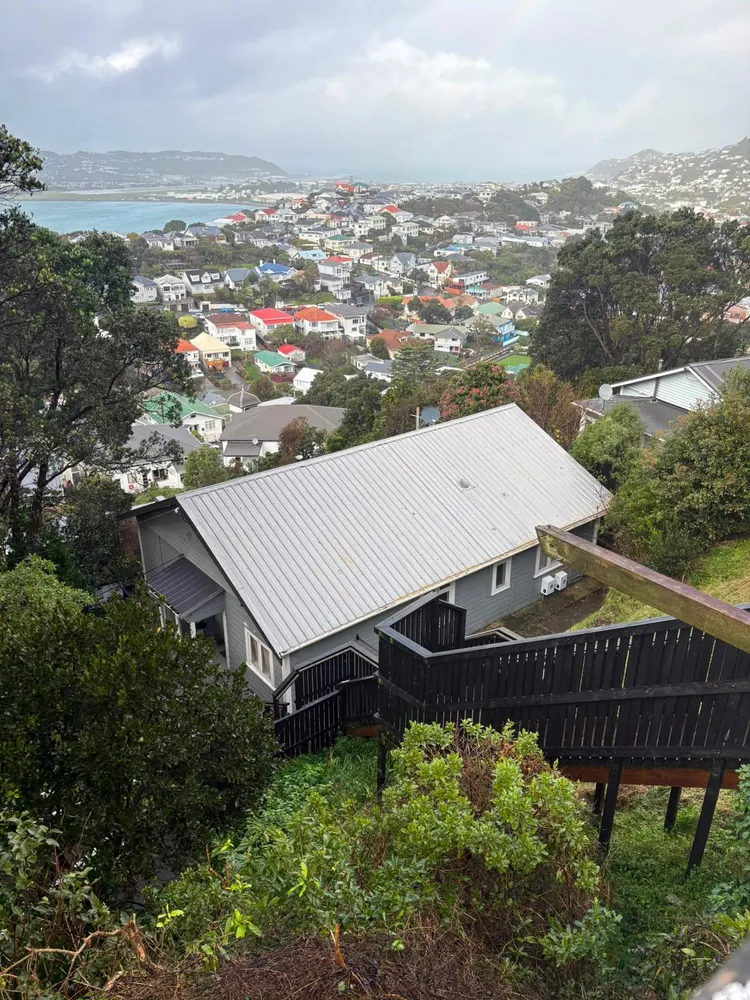 Photos of 93 Rakau Road