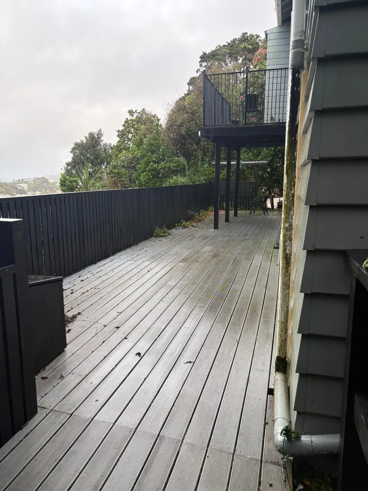 Photos of 93 Rakau Road