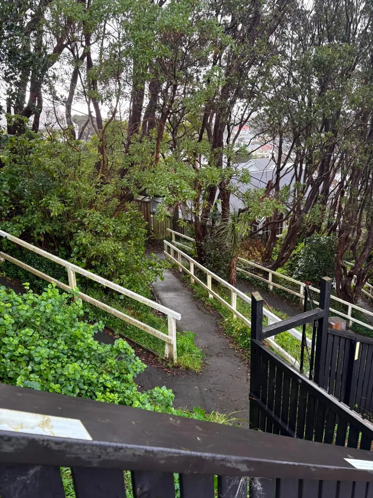 Photos of 93 Rakau Road