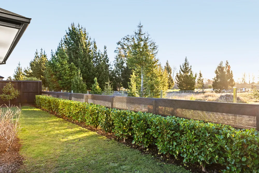 Photos of 49 Quinn Crescent
