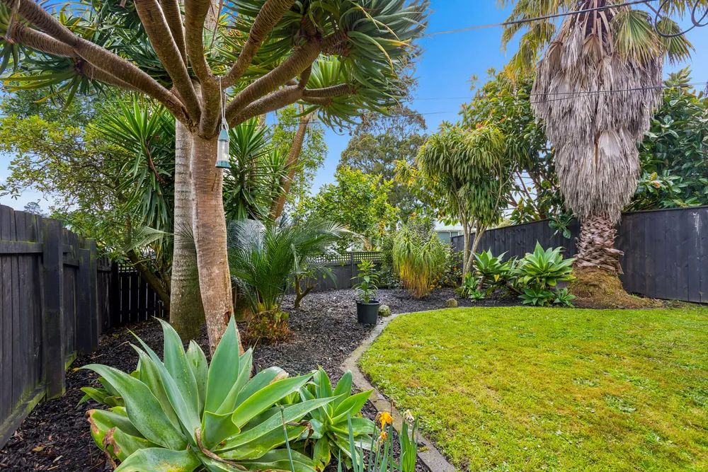 Photos of 48 Longburn Road