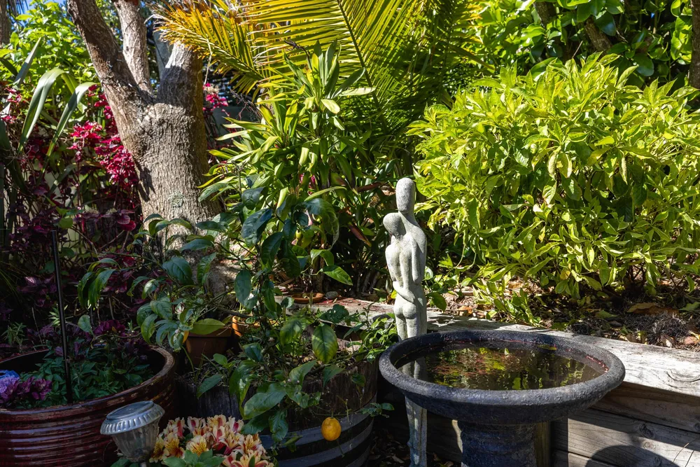Photos of 54 Hekerua Road
