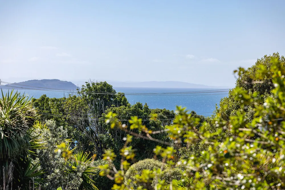 Photos of 54 Hekerua Road