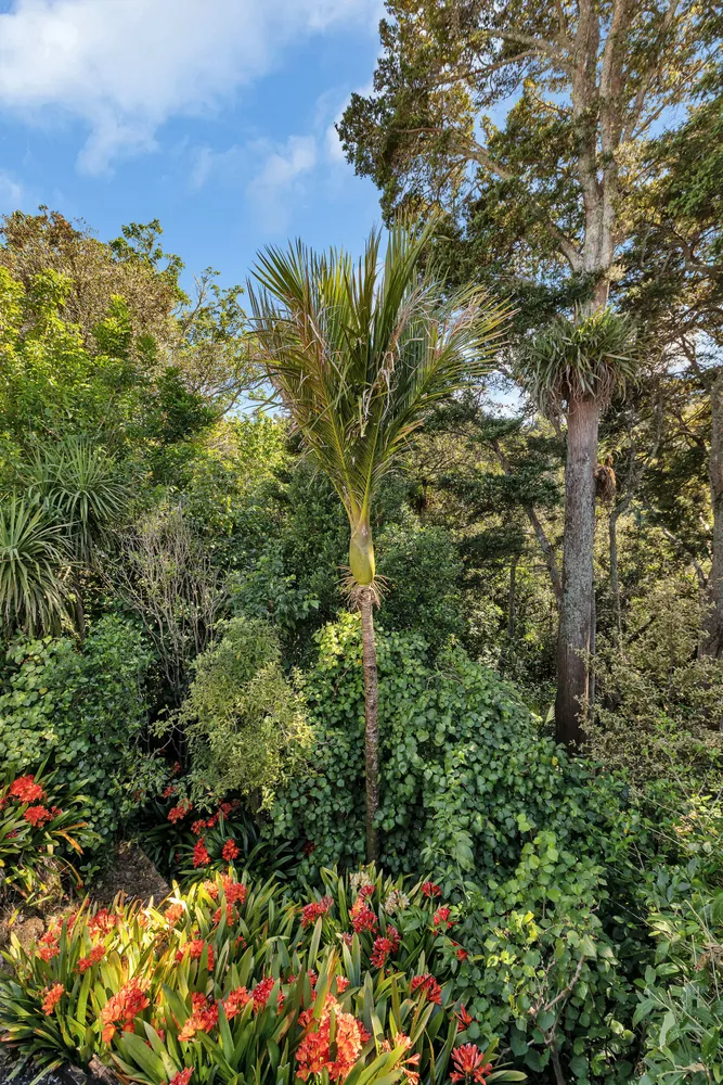 Photos of 30 Kereru Street
