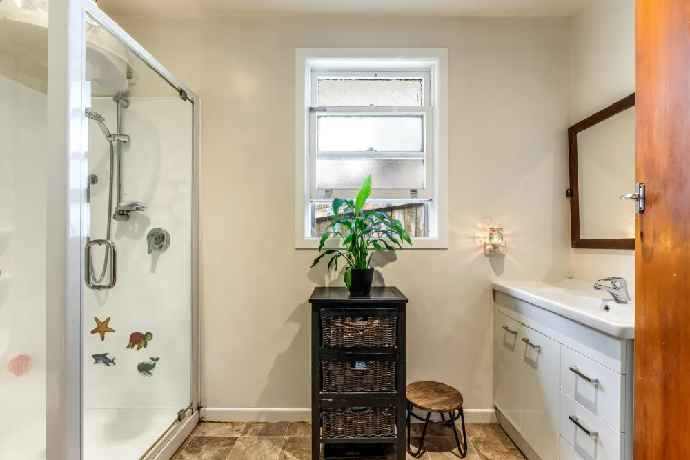 Photos of 227 Stout Street