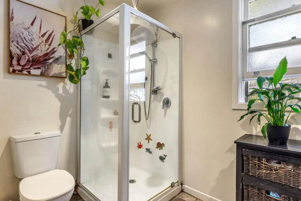 Photos of 227 Stout Street