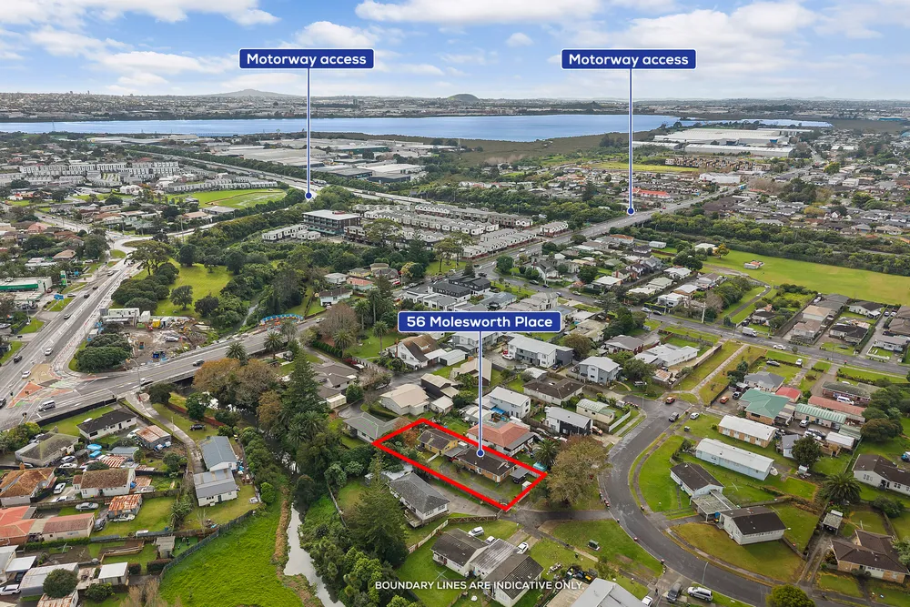 Photos of 56 Molesworth Place