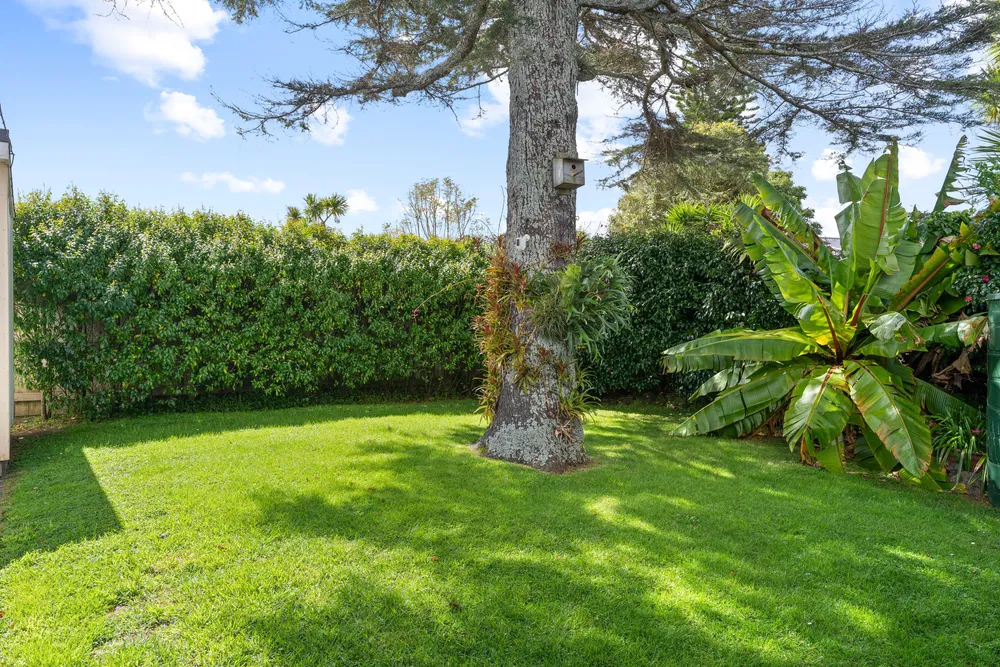 Photos of 12C Rosier Road