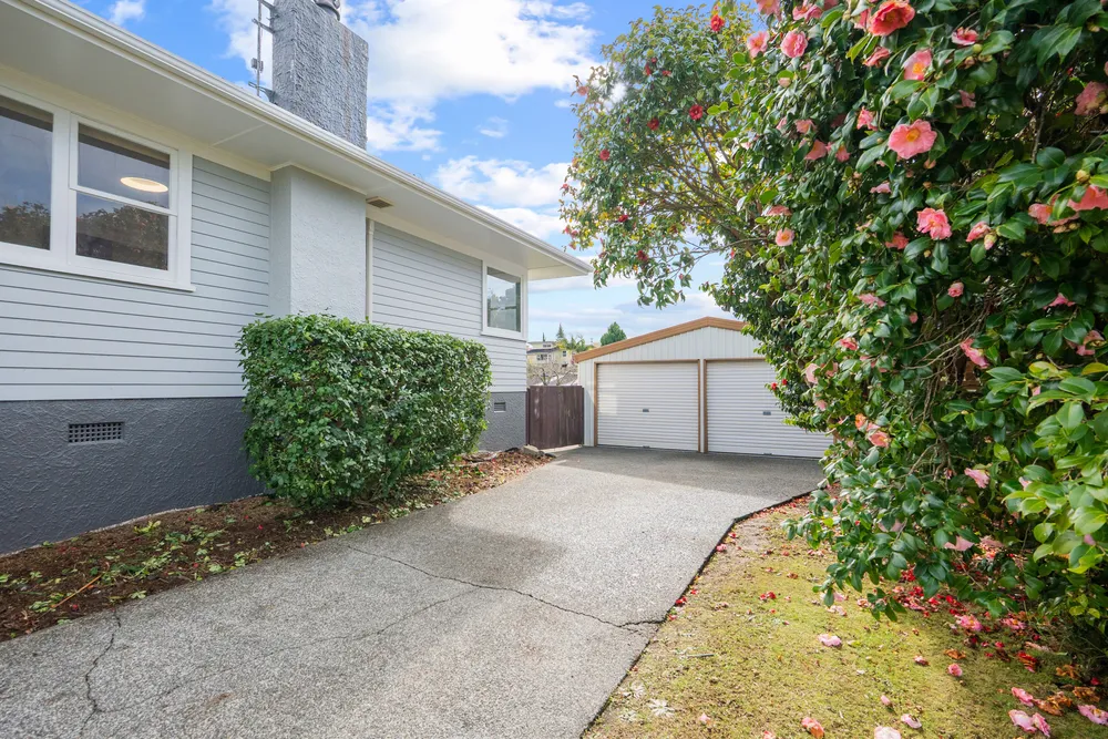 Photos of 65 Carr Street