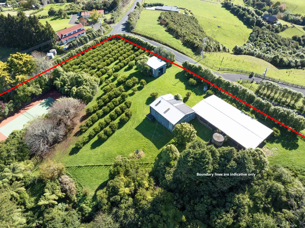 Photos of 438 Pinnacle Hill Road