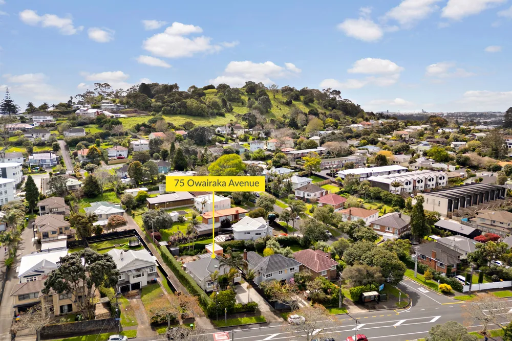 Photos of 75 Owairaka Avenue