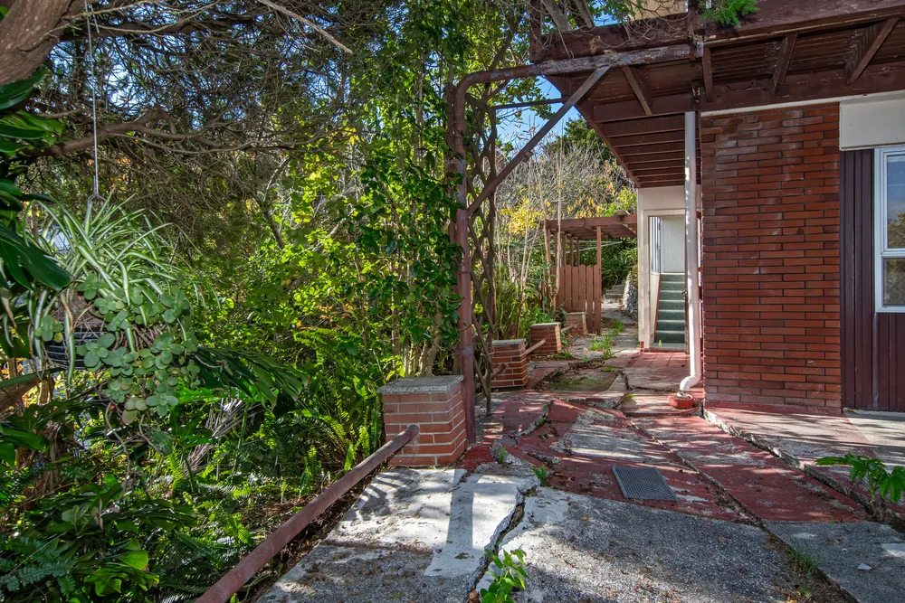 Photos of 77 Scott Road