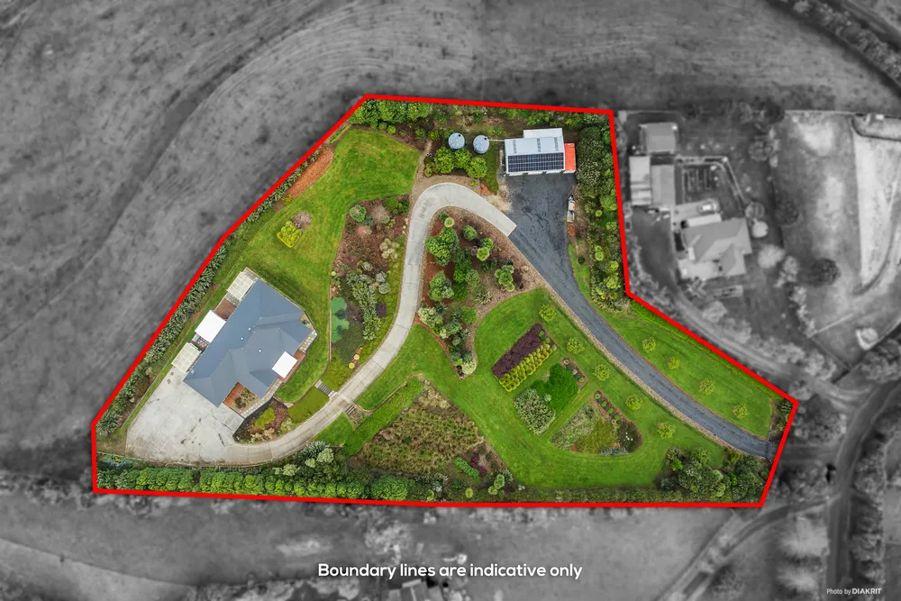 Photos of 356 Dominion Road
