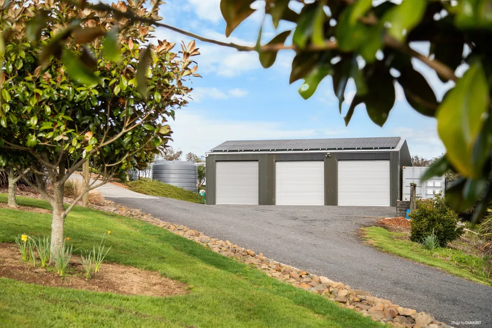Photos of 356 Dominion Road