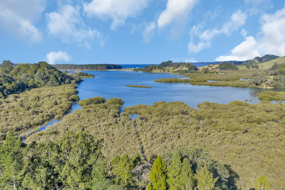 Photos of 2044 Whananaki North Road