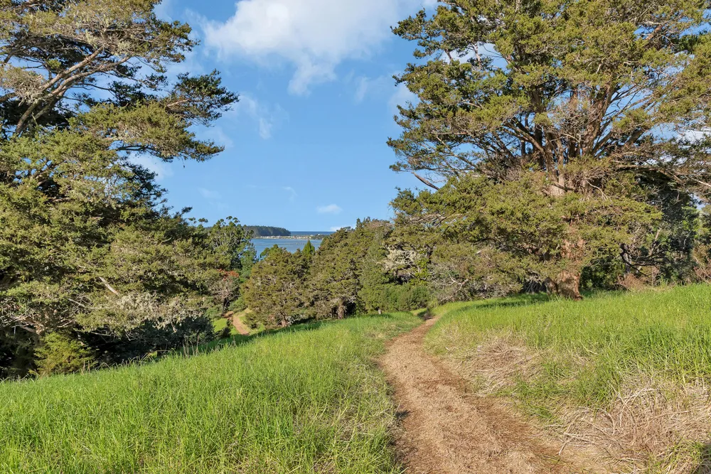 Photos of 2044 Whananaki North Road