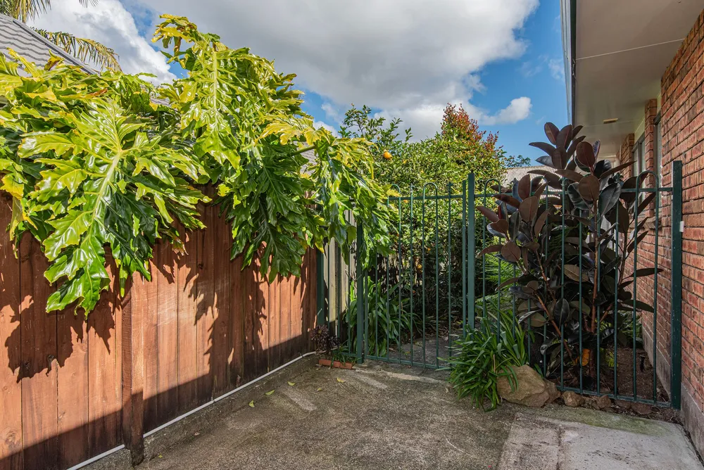 Photos of 73B King Street