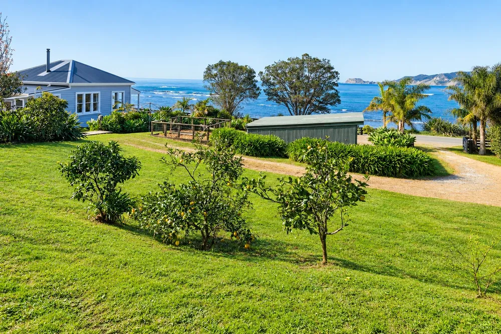 Photos of 165 Beach Road