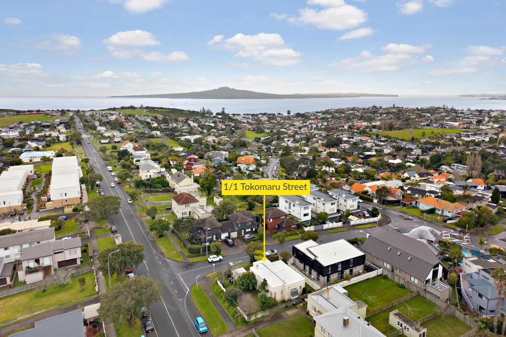 Photos of 1/1 Tokomaru Street