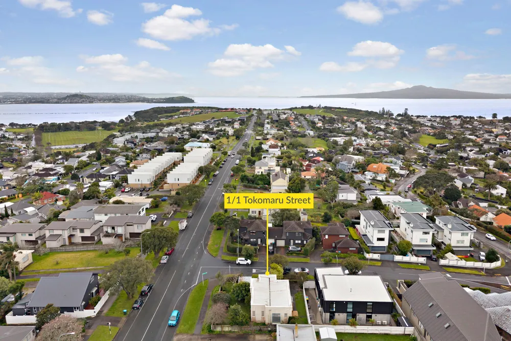 Photos of 1/1 Tokomaru Street