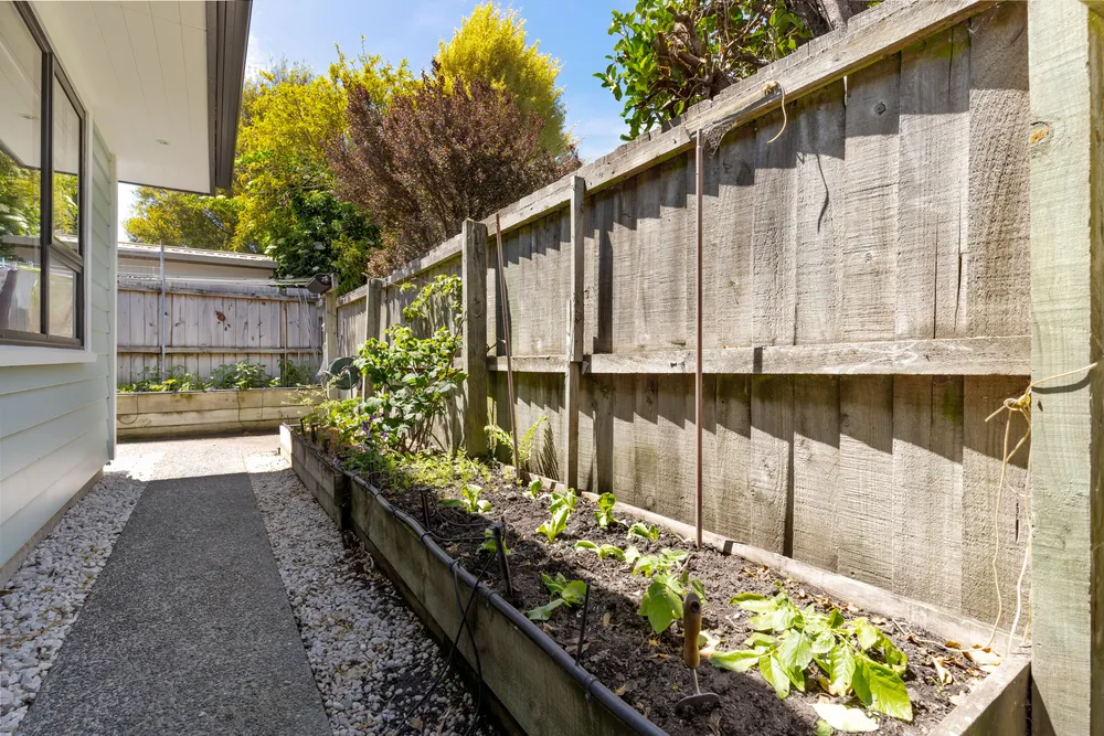 Photos of 17A Mahoe Street