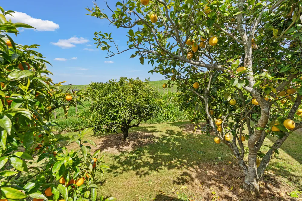 Photos of 345 Maungakaramea Road