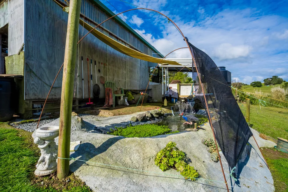 Photos of 20 McAlister Road