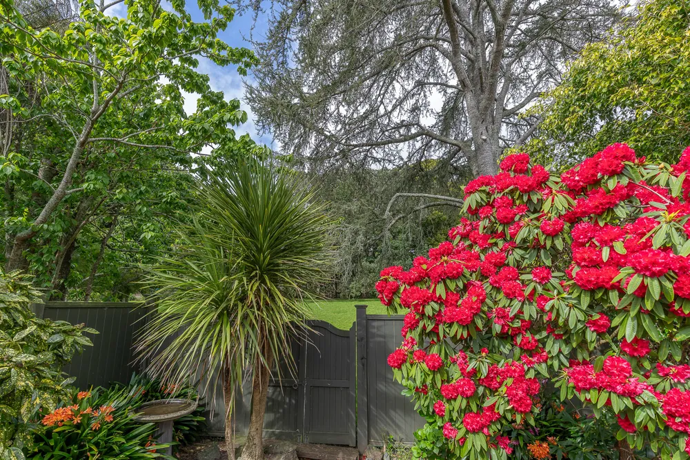Photos of 15 Atanga Avenue