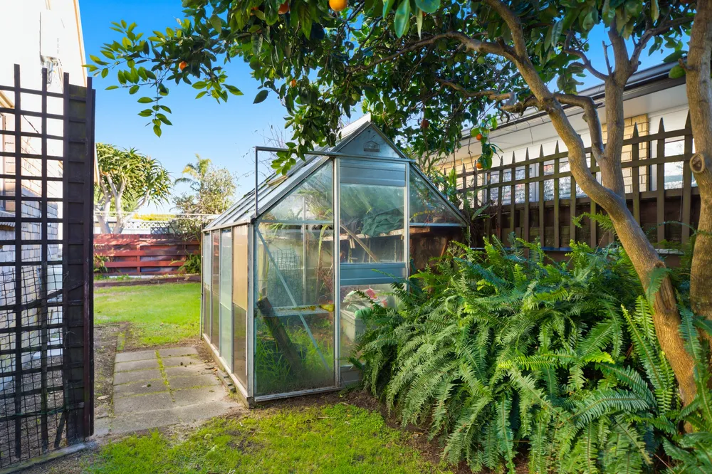 Photos of 29b Dickson Road