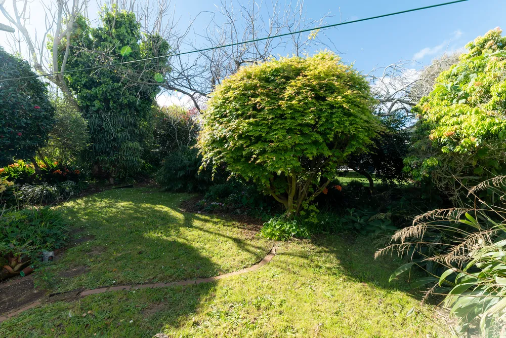 Photos of 94A Namata Road