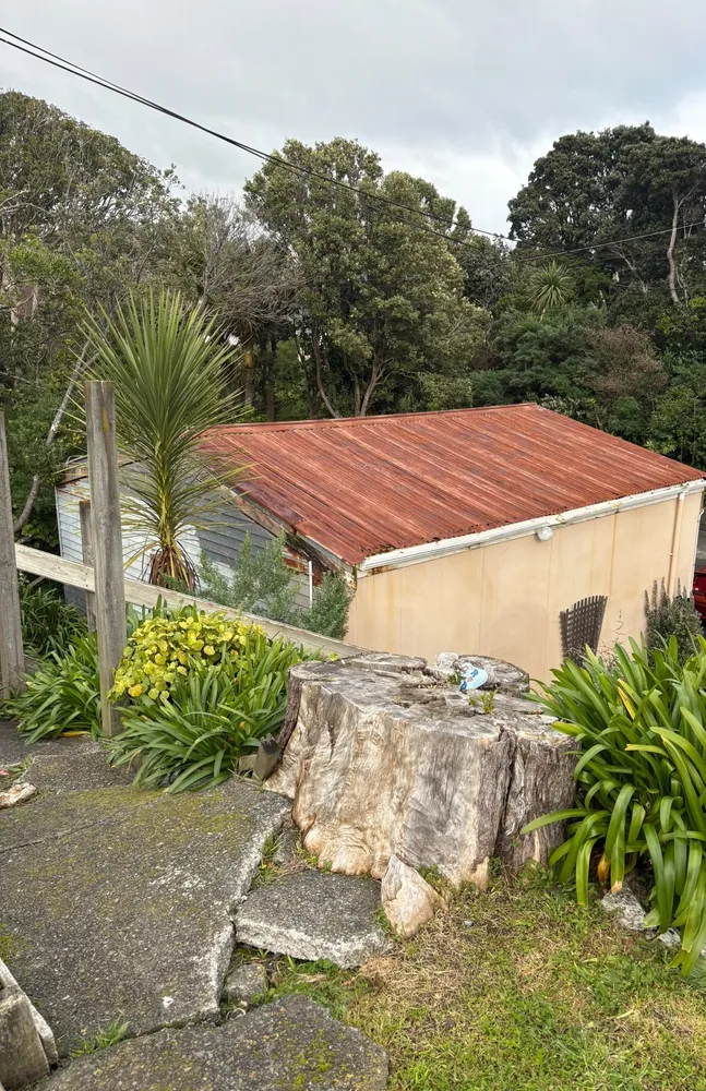 Photos of 26 Whanake Street