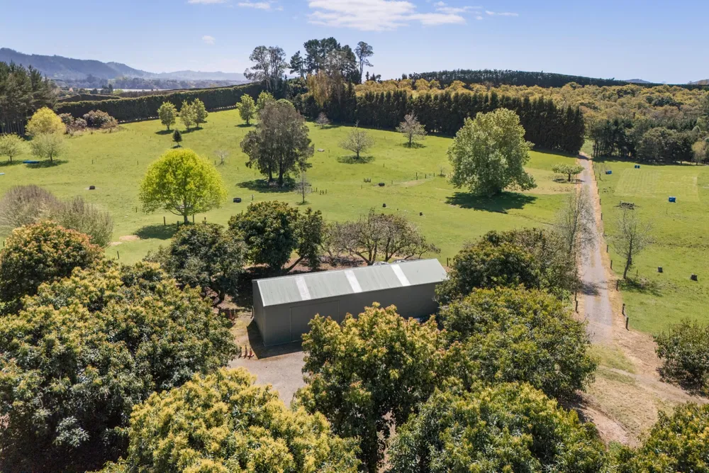 Photos of 155 Ongare Point Road