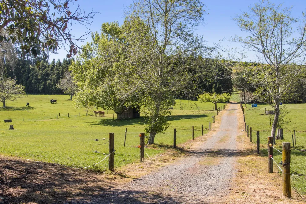 Photos of 155 Ongare Point Road