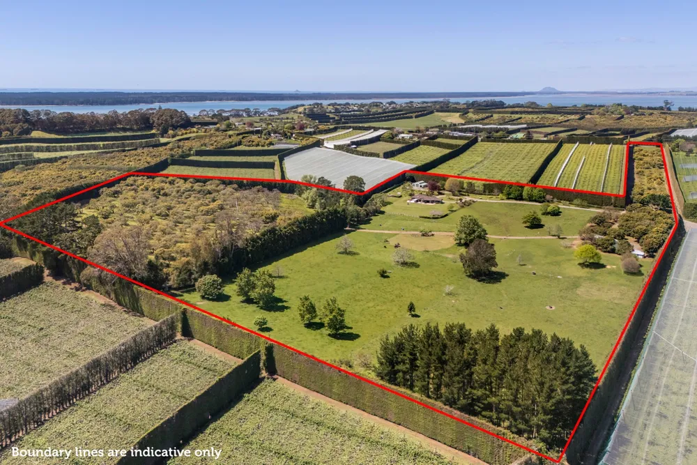 Photo of 155 Ongare Point Road, Katikati