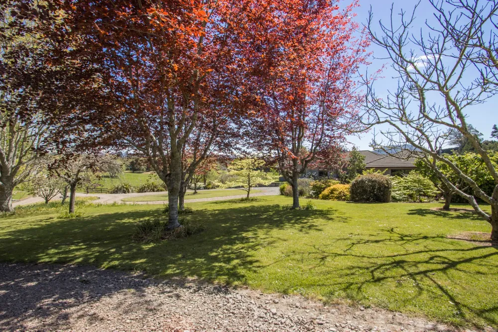 Photos of 155 Ongare Point Road