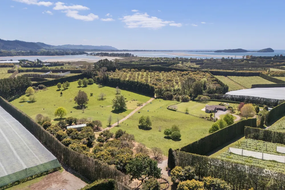 Photos of 155 Ongare Point Road