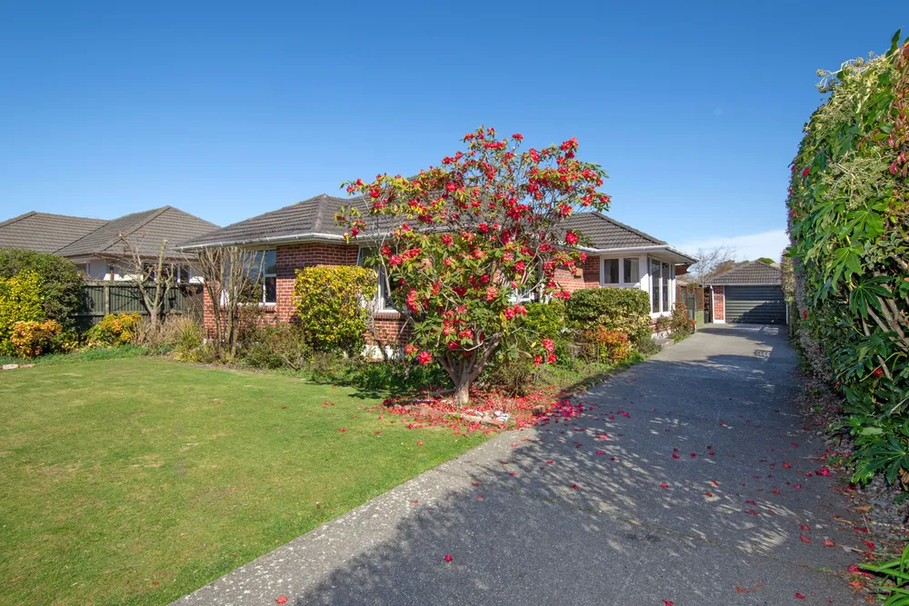 Photos of 15 Manuka Street