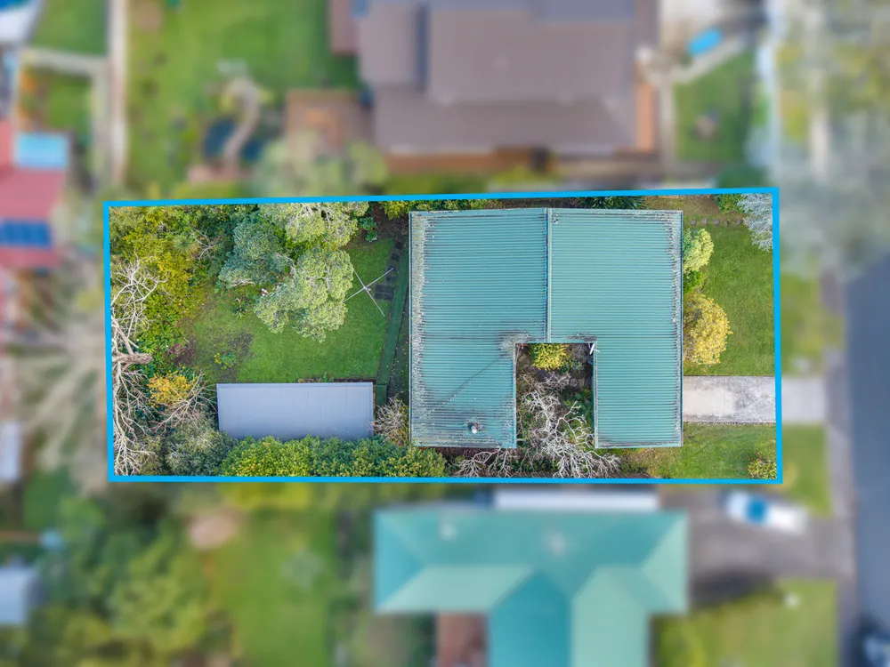 Photos of 54 Holland Road